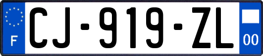 CJ-919-ZL