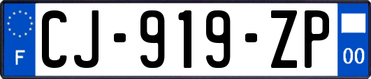 CJ-919-ZP