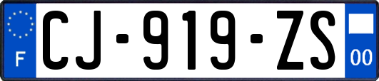 CJ-919-ZS