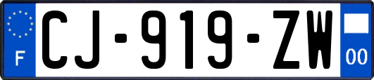 CJ-919-ZW