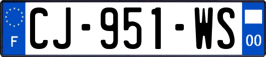 CJ-951-WS