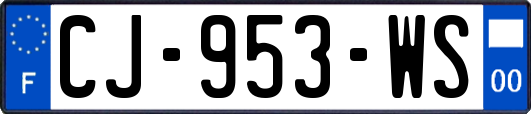 CJ-953-WS