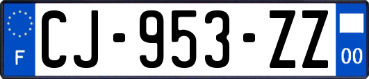 CJ-953-ZZ