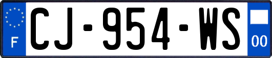 CJ-954-WS