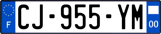 CJ-955-YM