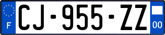 CJ-955-ZZ