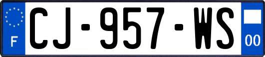 CJ-957-WS