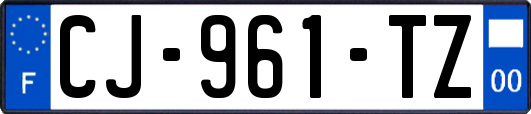 CJ-961-TZ