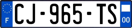 CJ-965-TS