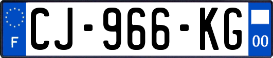 CJ-966-KG