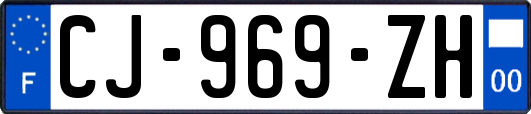 CJ-969-ZH