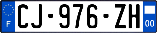 CJ-976-ZH