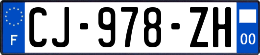 CJ-978-ZH