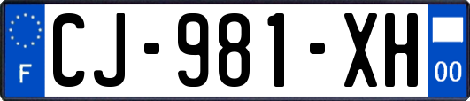 CJ-981-XH