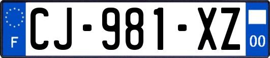 CJ-981-XZ