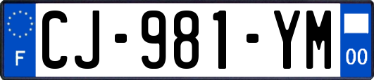 CJ-981-YM