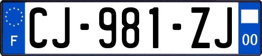 CJ-981-ZJ