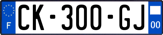CK-300-GJ