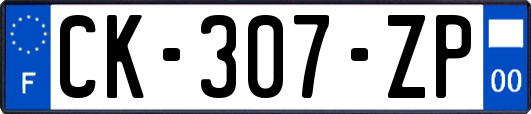 CK-307-ZP