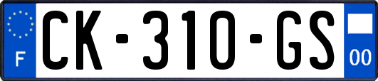 CK-310-GS