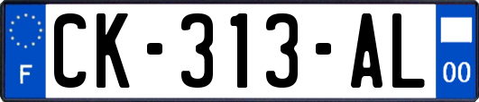 CK-313-AL