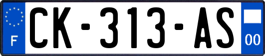 CK-313-AS