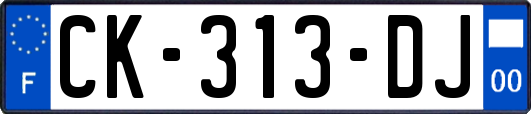 CK-313-DJ
