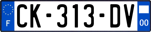 CK-313-DV