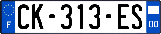 CK-313-ES