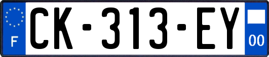 CK-313-EY