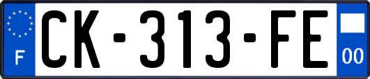 CK-313-FE