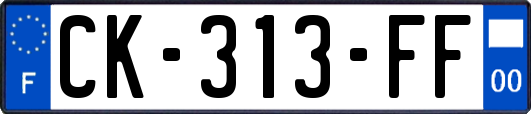 CK-313-FF