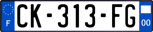 CK-313-FG