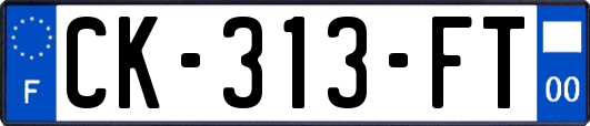 CK-313-FT