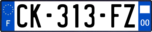 CK-313-FZ