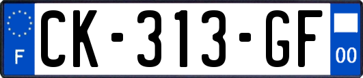 CK-313-GF