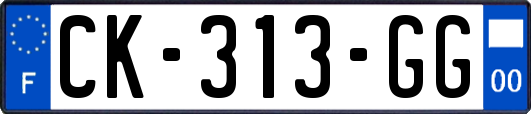 CK-313-GG