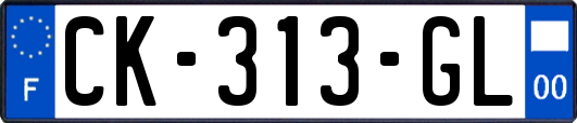 CK-313-GL