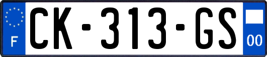 CK-313-GS
