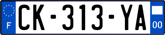 CK-313-YA