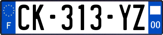 CK-313-YZ