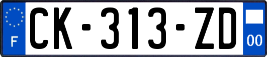 CK-313-ZD