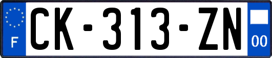 CK-313-ZN