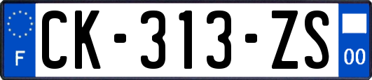 CK-313-ZS