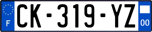 CK-319-YZ