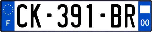 CK-391-BR