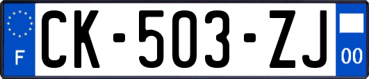 CK-503-ZJ