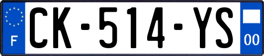 CK-514-YS