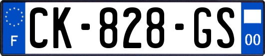CK-828-GS