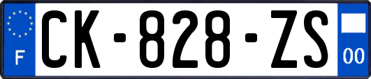 CK-828-ZS